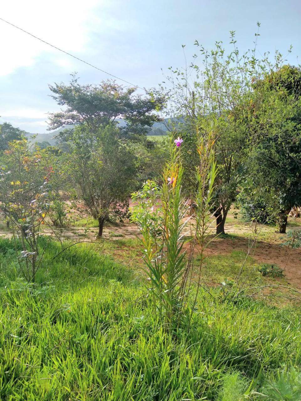 Sitio Vale Das Montanhas São Tomé das Letras Exterior foto